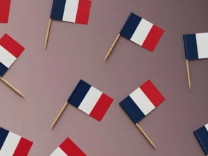 A repeating pattern of small French flags, symbolizing the Francophonie and the global reach of the French language.
